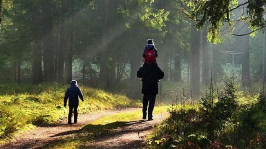 3 Kroki Do Lasu Polanica-Zdrój Exteriör bild